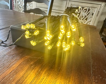 May include: A string of warm white LED fairy lights with a black wire. The lights are bundled together and plugged into a black power adapter.