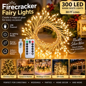 May include: Firecracker fairy lights with 300 warm white LED bulbs on a 30-foot flexible silver wire. Includes a USB-powered connector, a remote control with 8 lighting modes, timer, and dimming functions. Suitable for indoor and outdoor use.