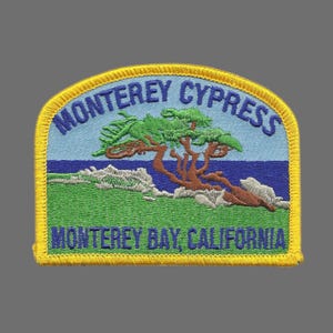 California Patch – Monterey Bay Cypress Tree California Souvenir – Travel Patch – Embellishment – Applique CA