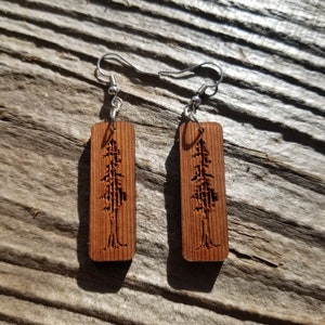 May include: A pair of wooden earrings with a tree design. The earrings are brown and have silver hooks.