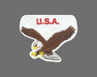USA Eagle Souvenir Embroidered Patch Iron On 10636