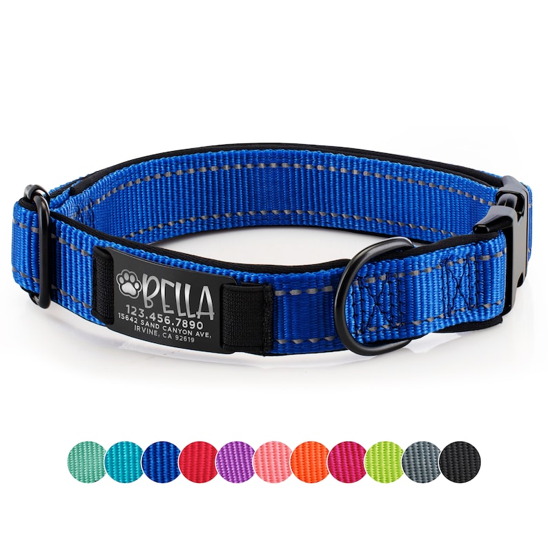 Dog Collar Personalized Custom Dog Collar With Name and Etsy