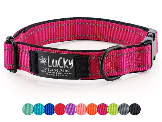 Dog Collar Personalized, Engraved Pet Collar, Custom Dog Collar with Name and Phone Number, Engraved Pet Name Plate, Pet Gift for Dog Lover
