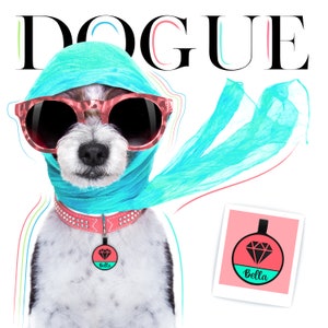 May include: A white and black dog wearing a turquoise scarf and pink sunglasses. The dog is wearing a pink collar with a round tag that says "Bella" in black text. The dog is looking at the camera. The background is white with the word "DOGUE" in black text.