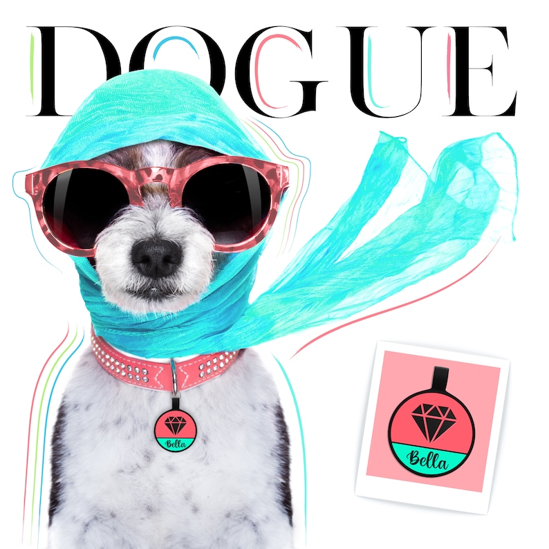 May include: A white and black dog wearing a turquoise scarf and pink sunglasses. The dog is wearing a pink collar with a round tag that says "Bella" in black text. The dog is looking at the camera. The background is white with the word "DOGUE" in black text.