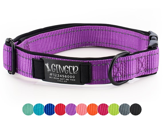 Dog Collar Personalized, Custom Dog Collar with Name and Phone Number, Engraved Puppy Collar, Dog Collar Girl, Pet Gifts for Dog Lovers