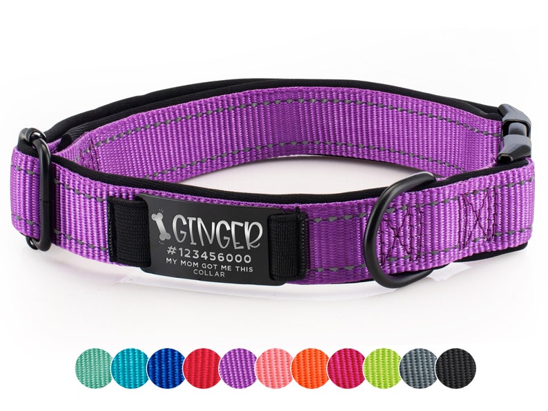 May include: Purple dog collar with a black metal tag that says "Ginger #123456000 My Mom Got Me This Collar". The collar has reflective stitching and a black buckle. The image also shows a selection of different colored collars.