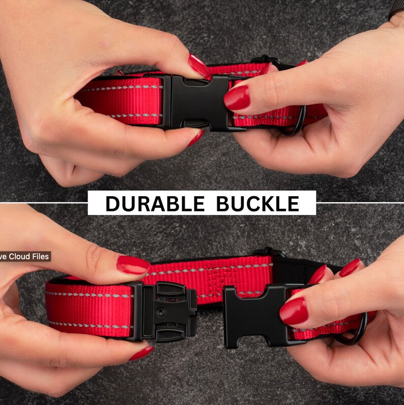 May include: Close-up of a red dog collar with a black, durable buckle. The buckle is shown being fastened and unfastened.