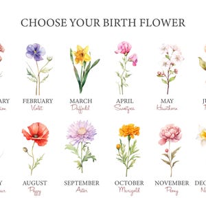 May include: A chart showing the birth flower for each month of the year. The flowers are illustrated in watercolor and include a carnation, violet, daffodil, sweetpea, hawthorn, rose, larkspur, poppy, aster, marigold, peony, and narcissus.