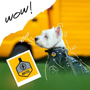 May include: A white West Highland Terrier dog wearing a black leather jacket with silver studs and a yellow dog tag that says "Buster" on it. The dog is standing in front of a yellow vehicle with the words "woof" and "wow!" written in black marker on a white background.
