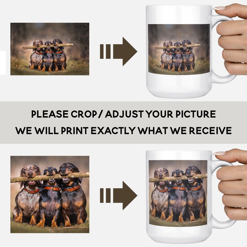 May include: Three dachshund dogs are sitting side by side, each holding a stick in their mouths. The dogs are brown and black with short legs and long bodies. They are looking at the camera.