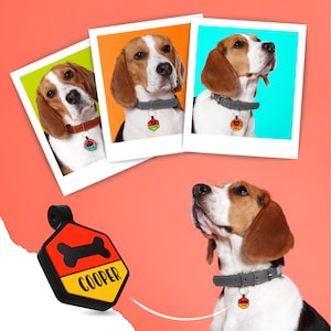 May include: Three photos of beagles wearing personalized dog tags with the name "Cooper" on a bone-shaped tag. The photos are in a collage format with a fourth photo of a beagle wearing a similar tag.