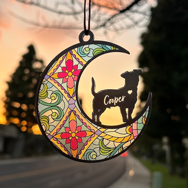 Dog Memorial Suncatcher, Loss of Pet Sympathy Gift, Pet Memorial Suncatcher, Personalized Dog Memorial Gift with Name and Breeds