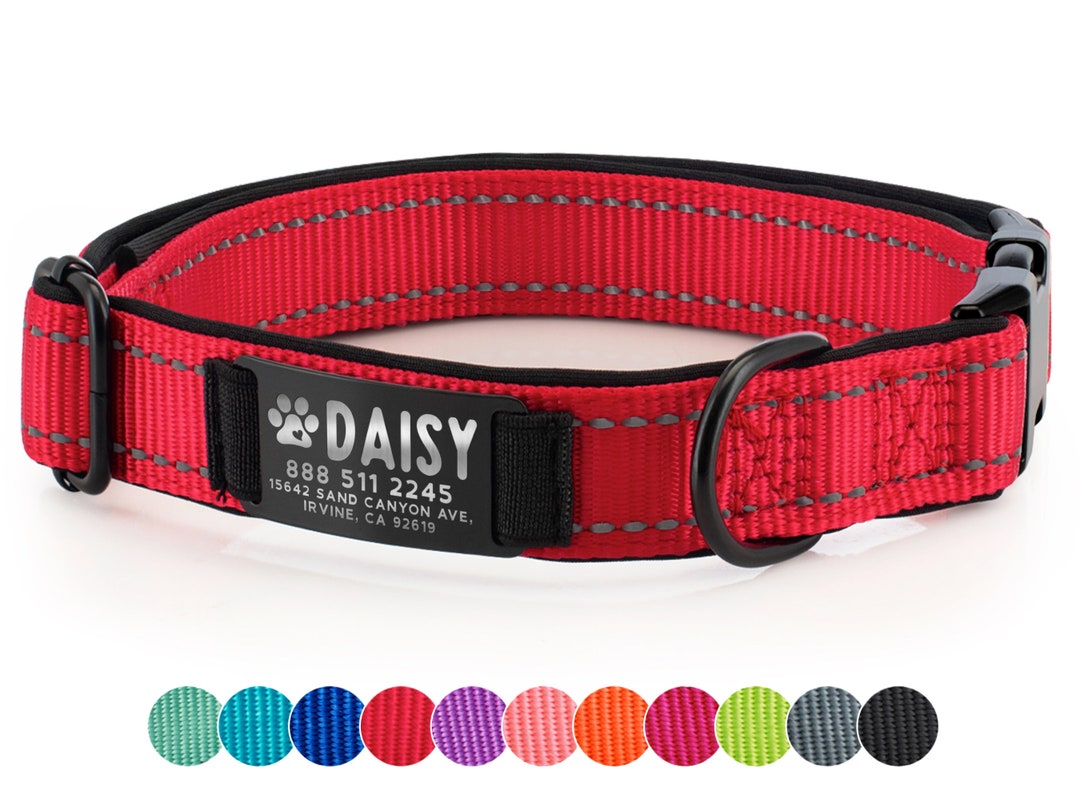 Dog Collar Personalized, Custom Dog Collar With Name and Phone Number, Engraved Puppy Collar