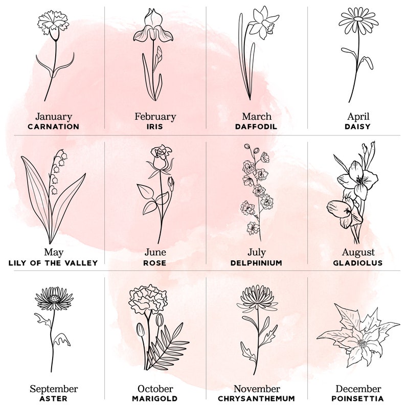 K&ouml;nnte beinhalten: Schwarz-wei&szlig;e Illustration von zw&ouml;lf Blumen, die jeweils einen Monat repr&auml;sentieren. Die Namen der Blumen sind darunter geschrieben. Der Hintergrund ist ein weicher, rosa Aquarell-Waschgang.