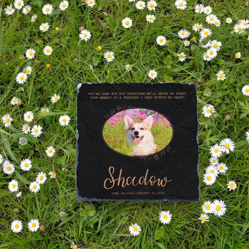 May include: Black slate memorial stone with a photo of a corgi dog in a field of flowers. The text reads "You're gone but not forgotten. We'll never be apart. Your memory is a treasure I keep within my heart."  "Shadow"  "June 26, 2006 - January 23, 2022"