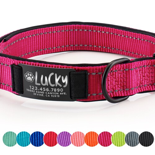 engraved pet collar