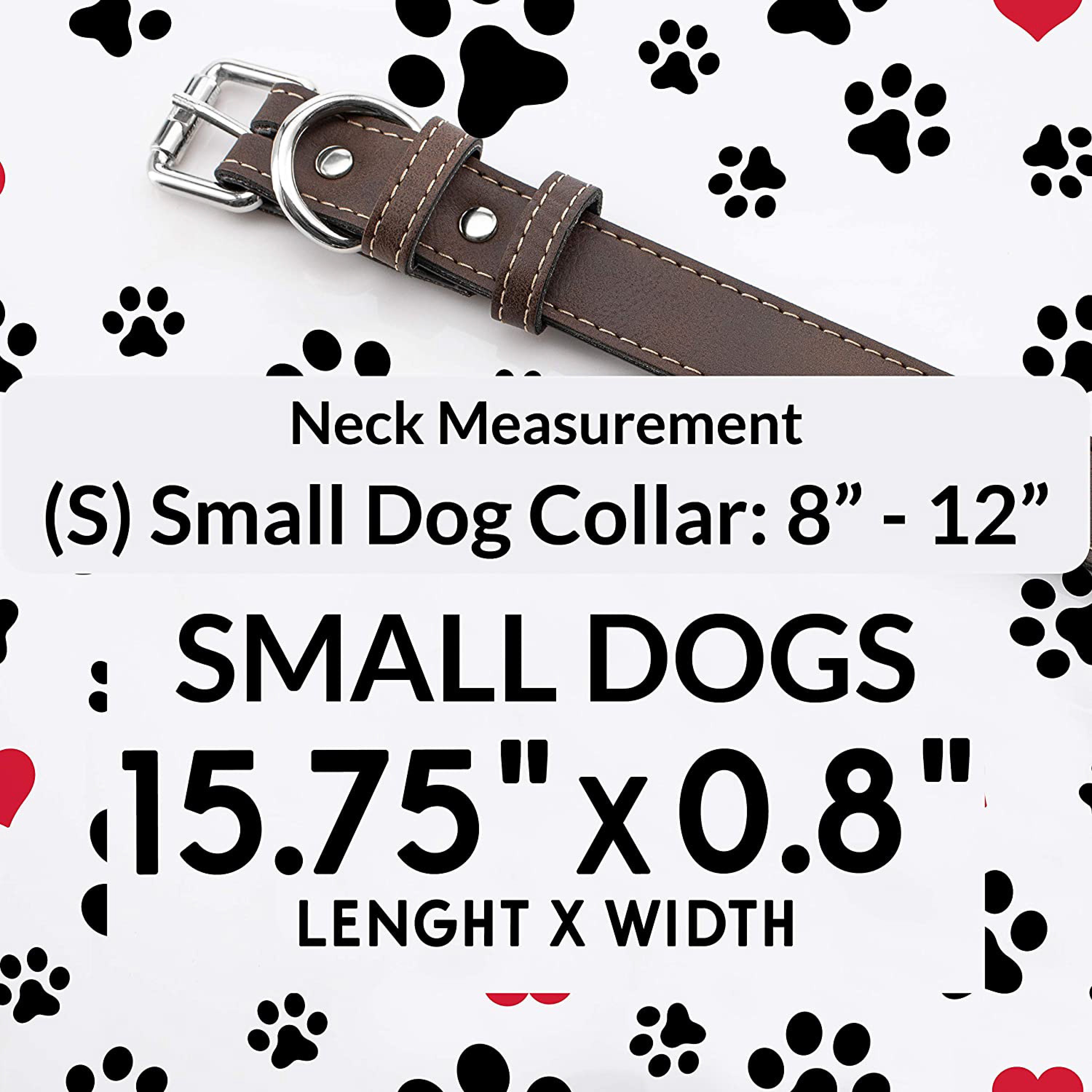 Personalized Leather Dog, Collar w/ Dog's Name, Phone Number & Cute