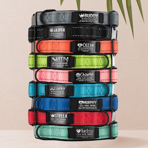 May include: A stack of colorful dog collars with personalized metal tags. Each tag includes a dog's name, phone number, and a message like "My mom got me this collar".
