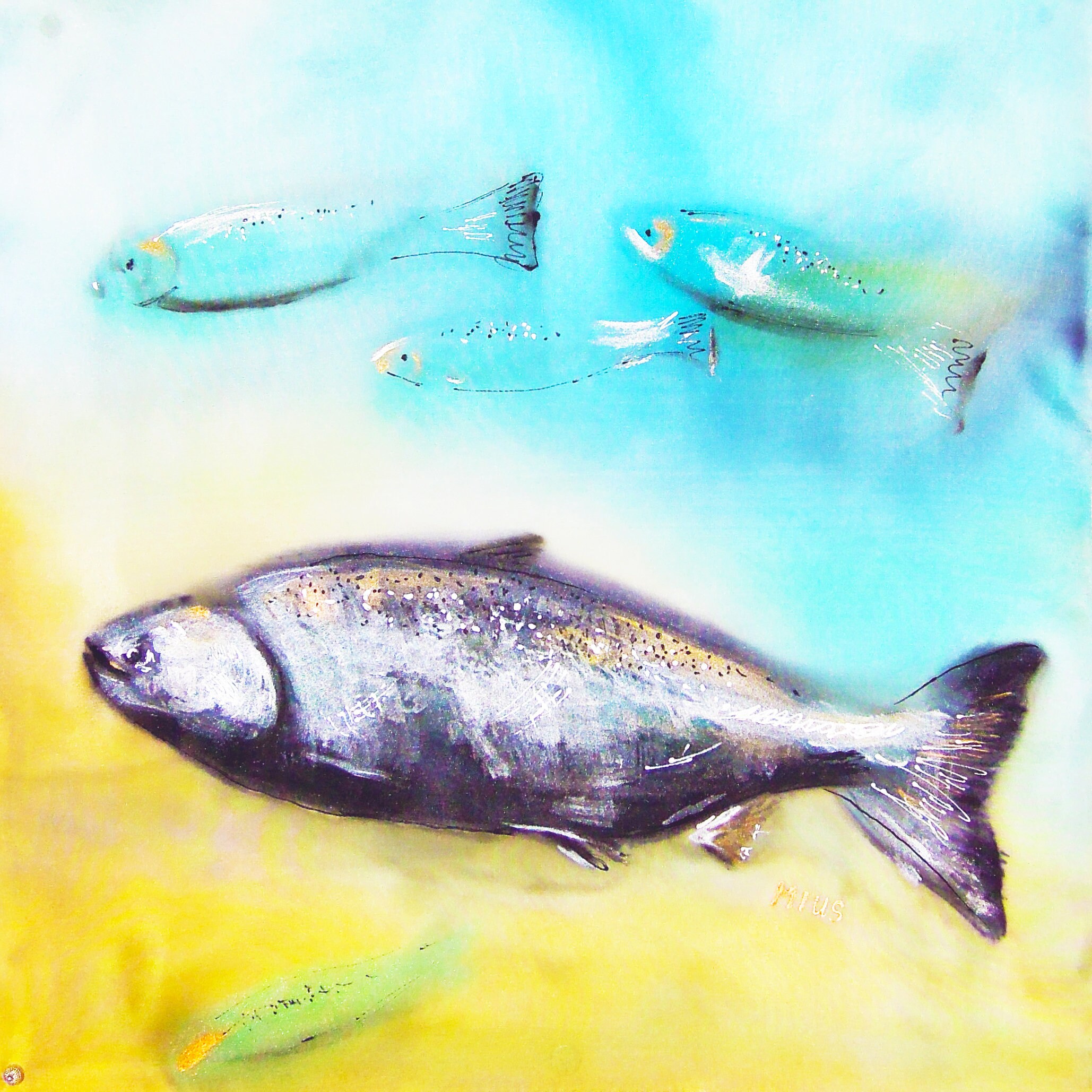 Salmon Fish Art Artist Signed Limited Edition 100 Art Etsy