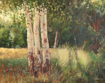 Birch Trees 12x16 Original in Oils