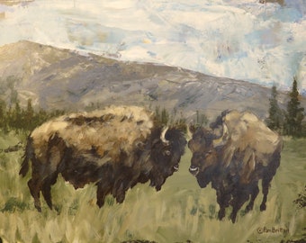 Bison in the High Country Impressions