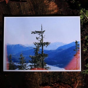 Collection de cartes postales sur les régions sauvages du Canada
