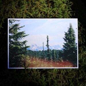 Collection de cartes postales sur les régions sauvages du Canada