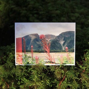 Collection de cartes postales sur les régions sauvages du Canada
