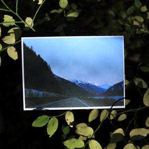 Collection de cartes postales sur les régions sauvages du Canada