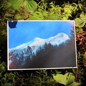 Collection de cartes postales sur les régions sauvages du Canada
