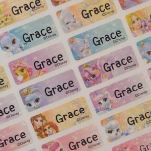 Étiquettes de nom, Autocollants de nom, Étiquettes de tasse, Étiquettes de bouteille, Étiquettes personnalisées, Autocollant de nom personnalisé, Étiquettes imperméables, Princess Palace Pet SMALL