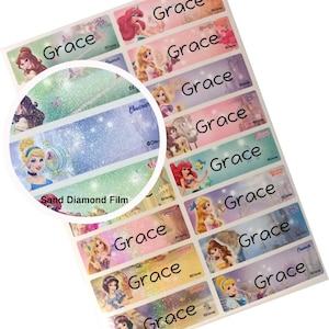 Etichette con nome impermeabili, adesivi con nome impermeabile, Disney Princess Frozen, adesivo personalizzato, etichette personalizzate, adesivo personalizzato, L M S