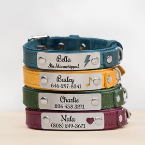 Personalized Leather Dog Collar, Engraved Dog Collar, Custom Dog Collar with Name Plate, Leather Cat Collar