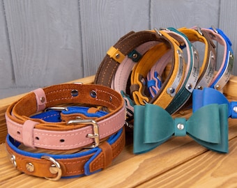 Personalized Leather Dog Collar with Bow, Engraved Nameplate