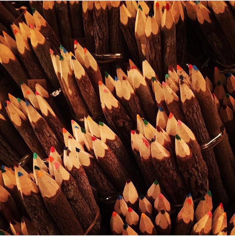 10 Twig Pencils Hand Carved Multi Coloured Bundle Ethically Etsy