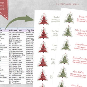 Christmas Address Label, Guest Address Label, Christmas Card Label, Holiday Card Label, Recipient Address Sticker, Mailing Address, Xmas