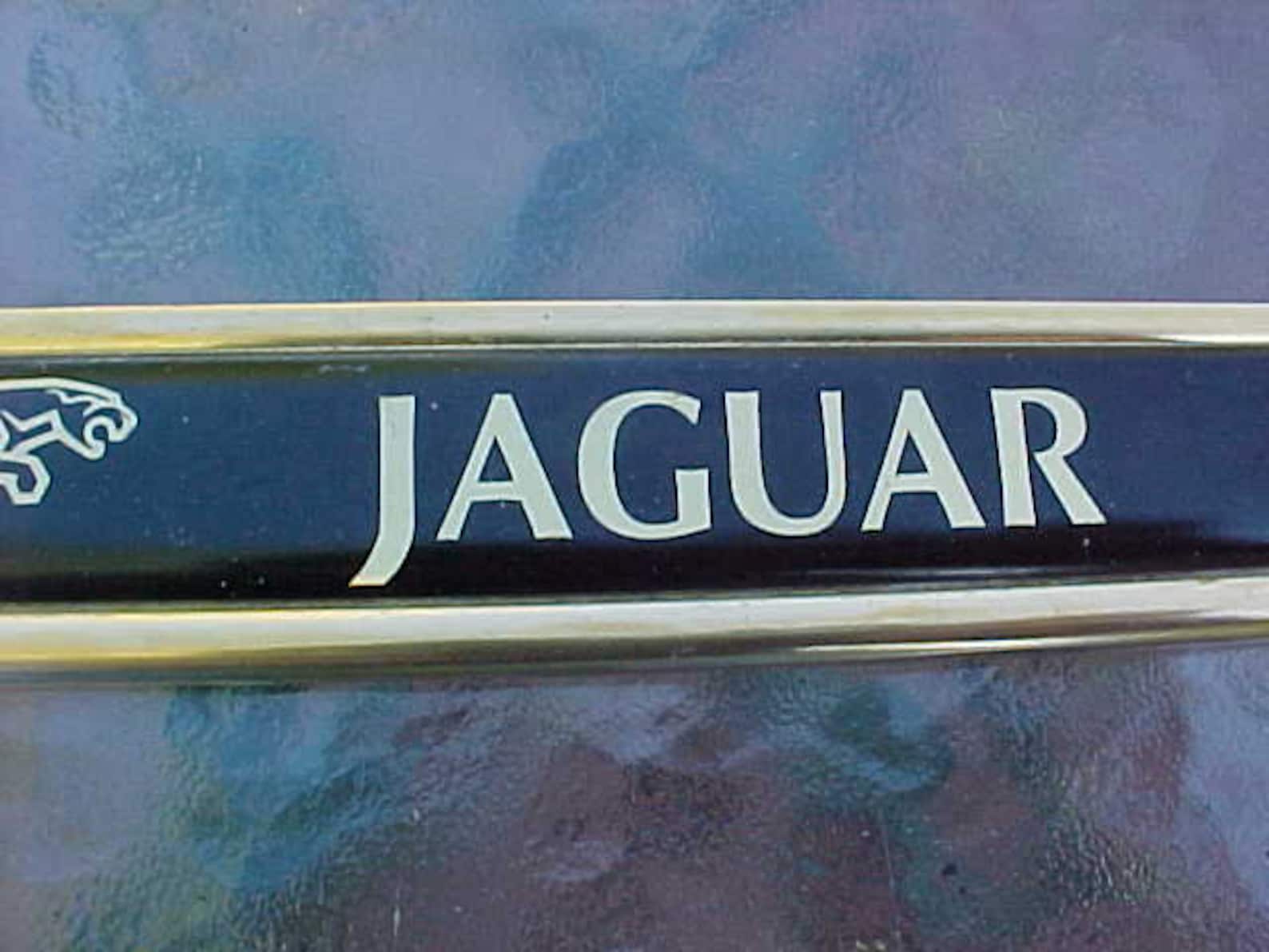 Vintage 1980s JAGUAR Golden Chrome License Plate Frame Etsy