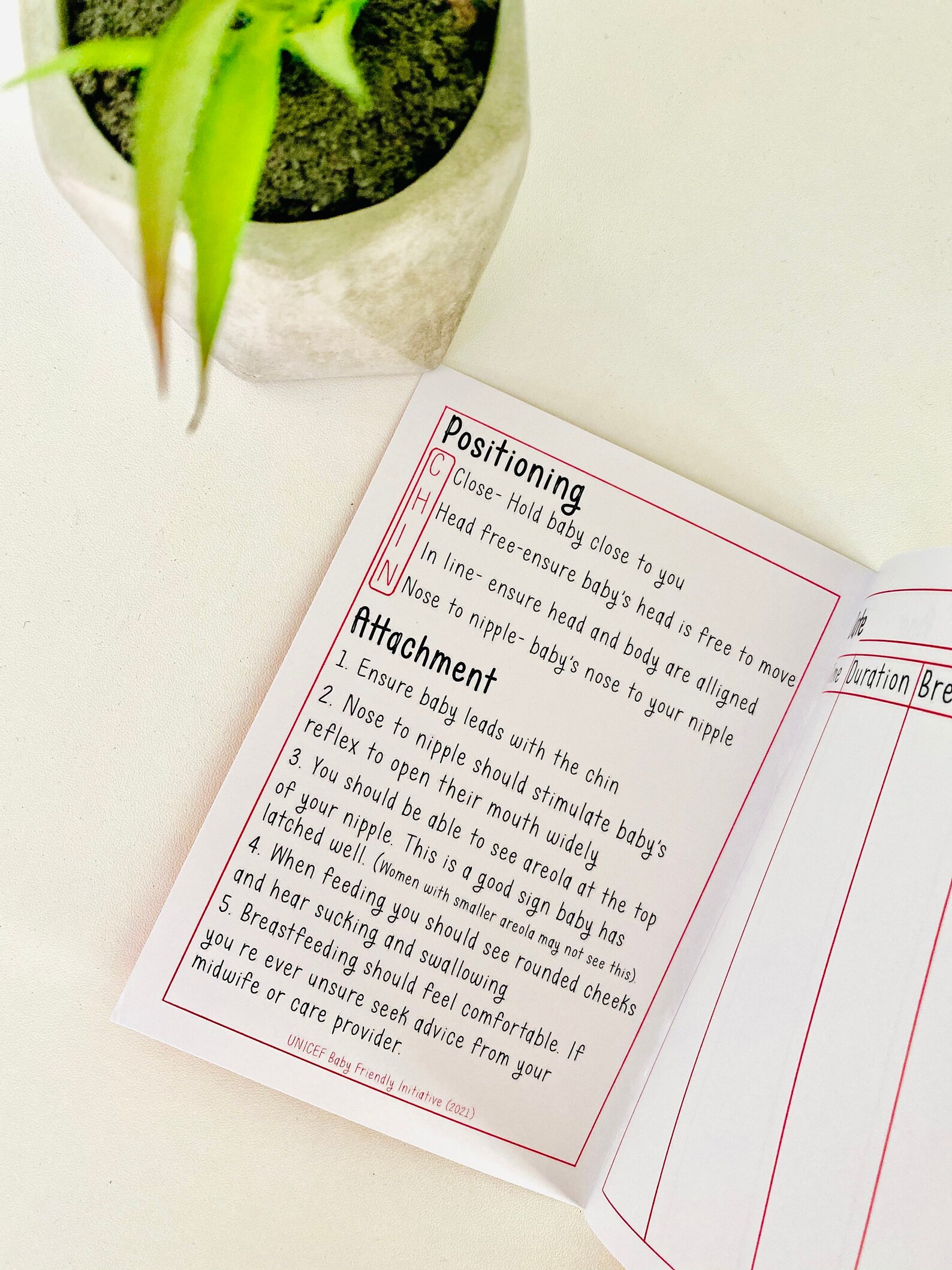 Breastfeeding journal designed to log breastfeeds whilst on Etsy