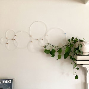 May include: A white wall with a plant hanging from a shelf. The plant has green leaves and is in a white pot. There are several clear plastic circles attached to the wall with gold tacks. The text "SUFJAN STEVENS" is visible on a book below the circles.