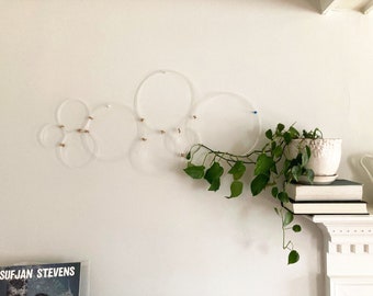 Circle Clear Acrylic Plant Trellis Wall Decor - Statement Plant Trellis, Plant Accessories, Indoor Crawling/Climbing Plants, Vines