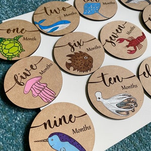 Marcadores de hitos mensuales con el nombre del bebé Sea Life: sesión de fotos de recién nacidos, fotos mensuales del bebé, regalo de baby shower