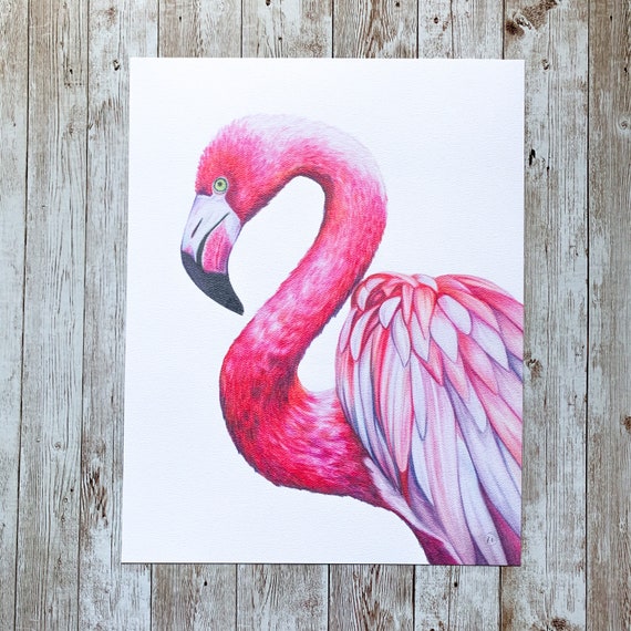 Flamingo Print Wall Art Colored Pencil Drawing Illustration Art Print 5x7  8x10 11x14 -  Canada