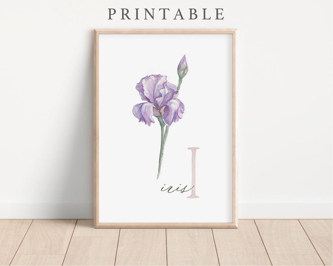 PRINTABLE Iris Flower Art Print - Initial Art -nursery Watercolor Printable - Wildflower Wall ...