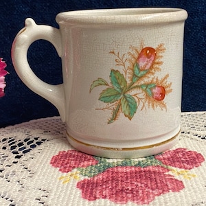 Antique Moss Rose Ironstone Mug: Minton M & Co., Mid-1800s
