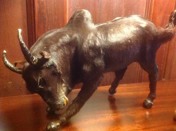 brahma bull rocking horse