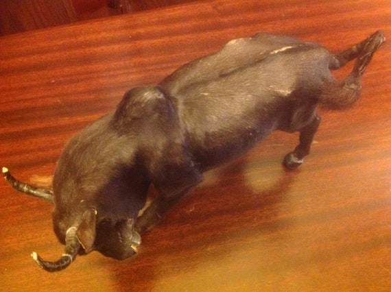 brahma bull rocking horse