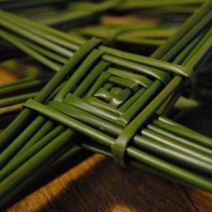 Weaving Rushes Authentic Irish Rushes for St Brigid's Cross Weaving, Celtic Craft ...
