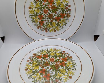 Vintage Corelle Indian Summer Salad Plates