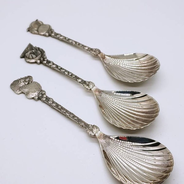 Engraved Shell - Etsy